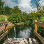 Large Natural Swimming Pool & Hot Tub